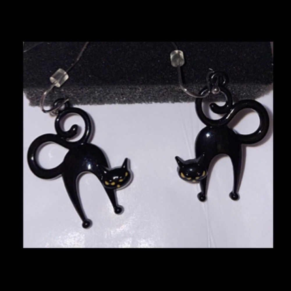 Beautiful FELINE hanging Earrings dipped in lacquer.NWT